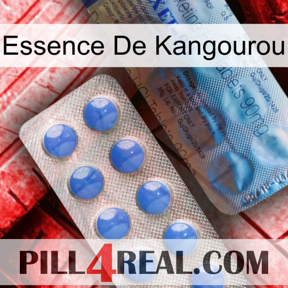 Kangaroo Essence 40